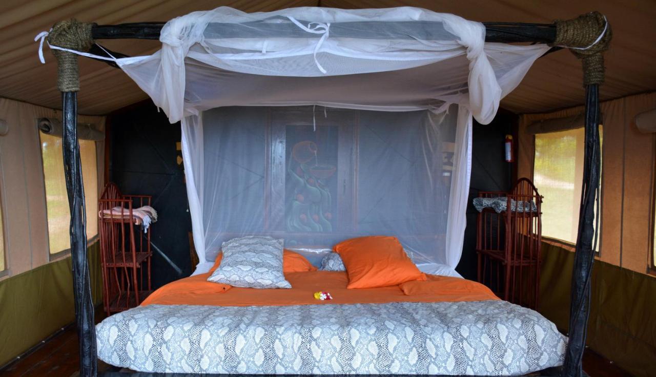 Shimba Hills Green Safari Lodge Kwale Extérieur photo