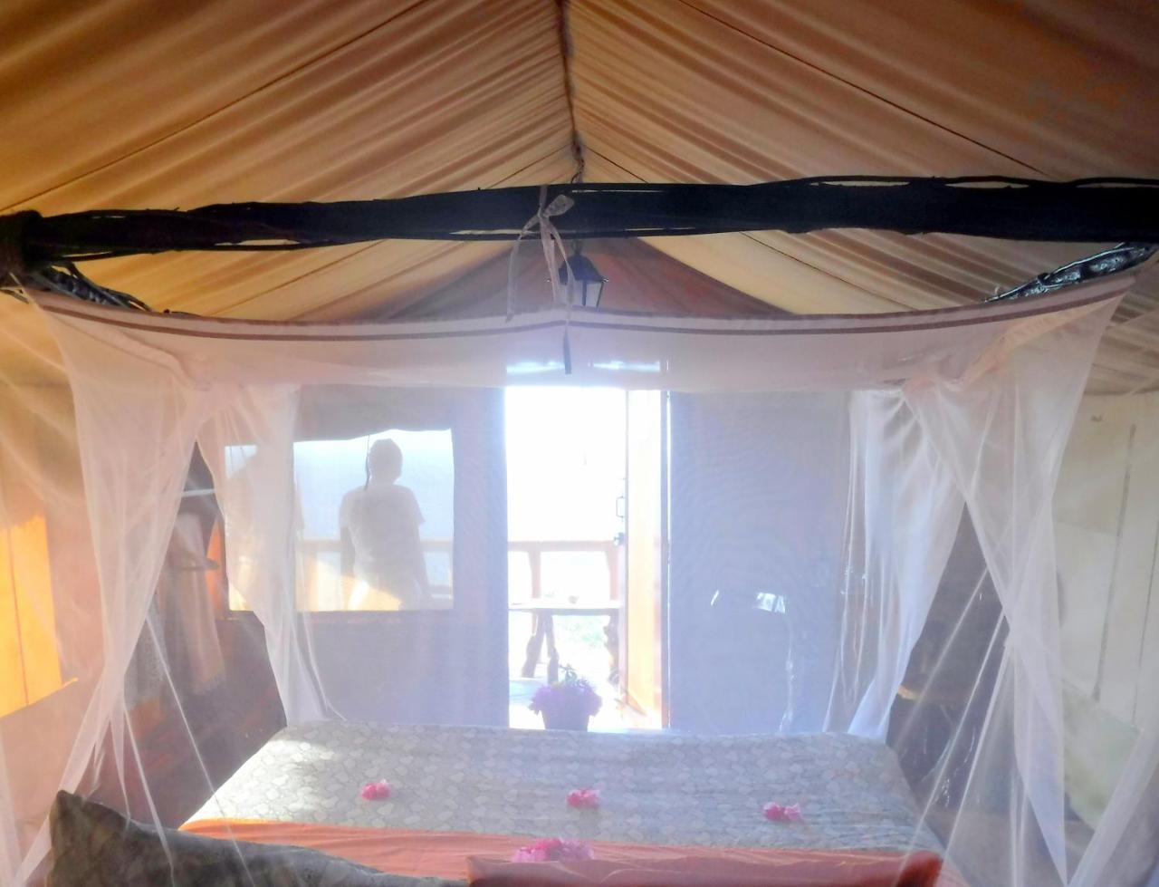 Shimba Hills Green Safari Lodge Kwale Extérieur photo